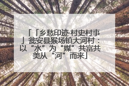 「乡愁印迹·村史村事」瓮安县猴场镇大河村：以“水”为“媒”共富共美从“河”而来