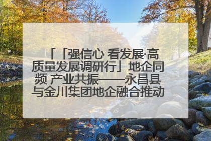 「强信心 看发展·高质量发展调研行」地企同频 产业共振——永昌县与金川集团地企融合推动重大项目建设