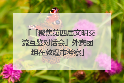 「聚焦第四届文明交流互鉴对话会」外宾团组在敦煌市考察