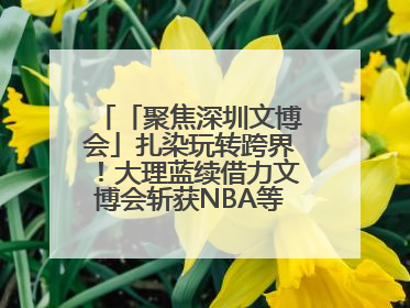 「聚焦深圳文博会」扎染玩转跨界！大理蓝续借力文博会斩获NBA等联名大单