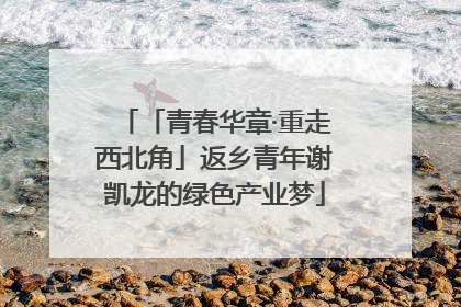 「青春华章·重走西北角」返乡青年谢凯龙的绿色产业梦