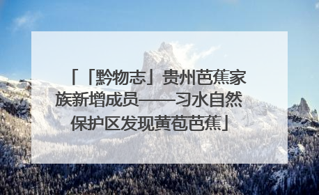 「黔物志」贵州芭蕉家族新增成员——习水自然保护区发现黄苞芭蕉