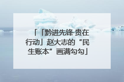 「黔进先锋·贵在行动」赵大志的“民生账本”画满勾勾