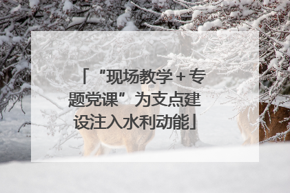 “现场教学＋专题党课”为支点建设注入水利动能