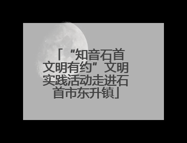 “知音石首 文明有约”文明实践活动走进石首市东升镇