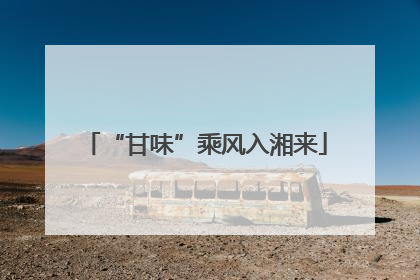 “甘味”乘风入湘来