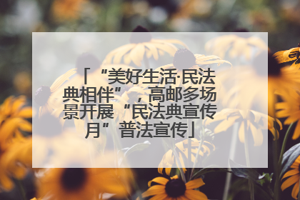 “美好生活·民法典相伴”，高邮多场景开展“民法典宣传月”普法宣传
