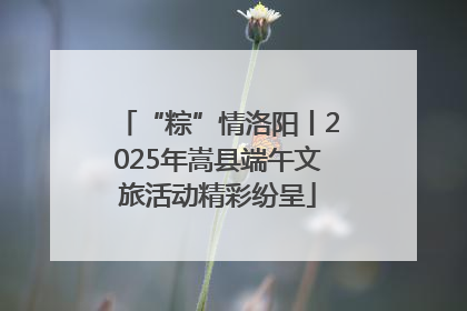 “粽”情洛阳丨2025年嵩县端午文旅活动精彩纷呈