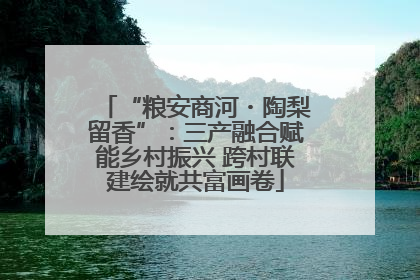 “粮安商河・陶梨留香”：三产融合赋能乡村振兴 跨村联建绘就共富画卷