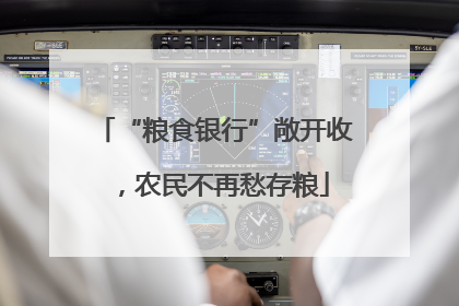 “粮食银行”敞开收，农民不再愁存粮