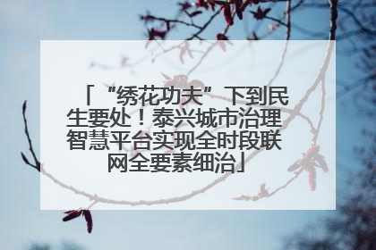 “绣花功夫”下到民生要处！泰兴城市治理智慧平台实现全时段联网全要素细治