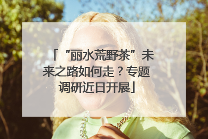 “丽水荒野茶”未来之路如何走？专题调研近日开展