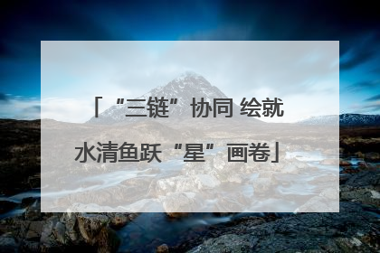 “三链”协同 绘就水清鱼跃“星”画卷