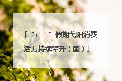 “五一”假期弋阳消费活力持续攀升（图）