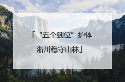 “五个到位”护体 淅川稳守山林