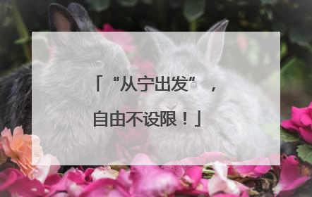 “从宁出发”，自由不设限！