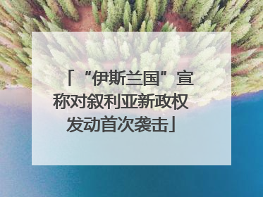 “伊斯兰国”宣称对叙利亚新政权发动首次袭击