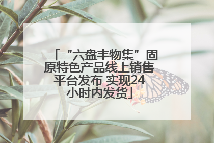 “六盘丰物集”固原特色产品线上销售平台发布 实现24小时内发货