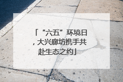 “六五”环境日，大兴廊坊携手共赴生态之约