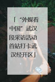 “外媒看中国”武汉段采访活动首站打卡武汉经开区