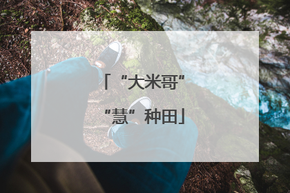 “大米哥”“慧”种田