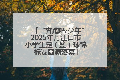 “奔跑吧·少年”2025年丹江口市小学生足（篮）球锦标赛圆满落幕