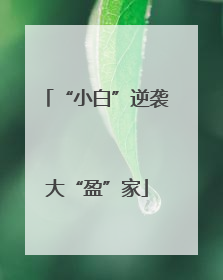 “小白”逆袭大“盈”家