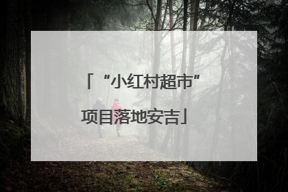 “小红村超市”项目落地安吉