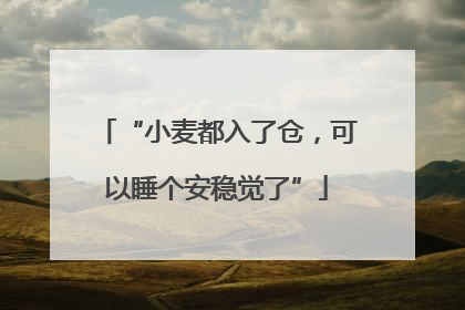 “小麦都入了仓，可以睡个安稳觉了”