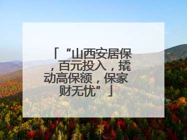 “山西安居保，百元投入，撬动高保额，保家财无忧”