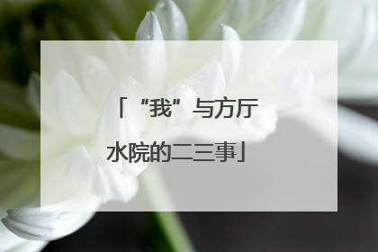 “我”与方厅水院的二三事