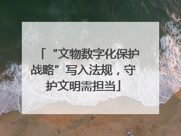 “文物数字化保护战略”写入法规，守护文明需担当