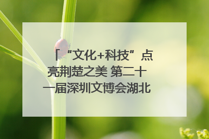 “文化+科技”点亮荆楚之美 第二十一届深圳文博会湖北馆抢“鲜”看