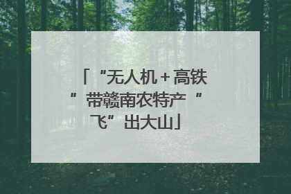 “无人机＋高铁”带赣南农特产“飞”出大山