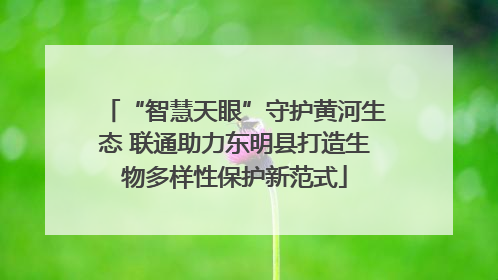 “智慧天眼”守护黄河生态 联通助力东明县打造生物多样性保护新范式