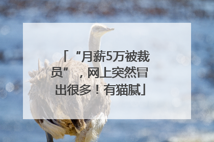 “月薪5万被裁员”，网上突然冒出很多！有猫腻