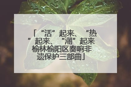 “活”起来、“热”起来、“潮”起来 榆林榆阳区奏响非遗保护三部曲