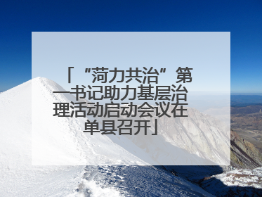 “菏力共治”第一书记助力基层治理活动启动会议在单县召开