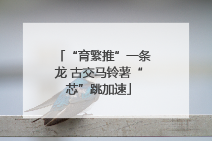 “育繁推”一条龙 古交马铃薯“芯”跳加速