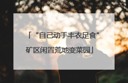 “自己动手丰衣足食”矿区闲置荒地变菜园