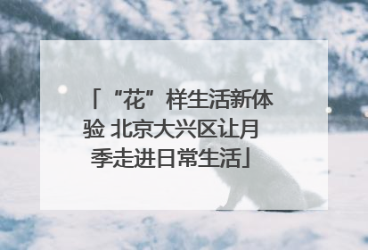 “花”样生活新体验 北京大兴区让月季走进日常生活