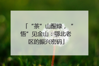 “茶”山醒绿，“悟”见金山：鄂北老区的振兴密码