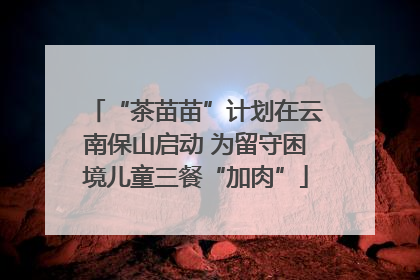 “茶苗苗”计划在云南保山启动 为留守困境儿童三餐“加肉”