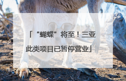 “蝴蝶”将至！三亚此类项目已暂停营业