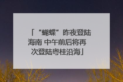 “蝴蝶”昨夜登陆海南 中午前后将再次登陆粤桂沿海