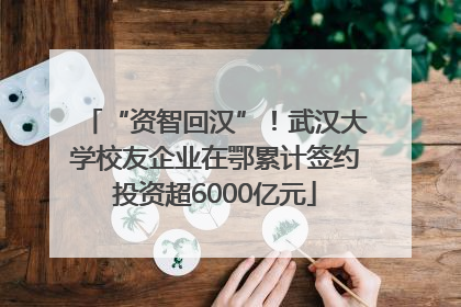“资智回汉”！武汉大学校友企业在鄂累计签约投资超6000亿元