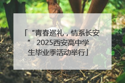 “青春巡礼，情系长安” 2025西安高中学生毕业季活动举行