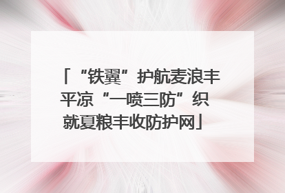“铁翼”护航麦浪丰 平凉“一喷三防”织就夏粮丰收防护网