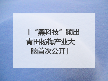 “黑科技”频出 青田杨梅产业大脑首次公开