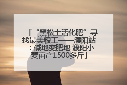 “黑松土活化肥”寻找最美粮王——濮阳站：碱地变肥地 濮阳小麦亩产1500多斤